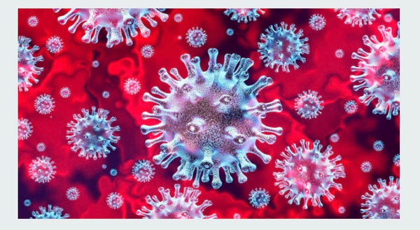 Coronavirus Prevention | Enhancing Your Immune System
